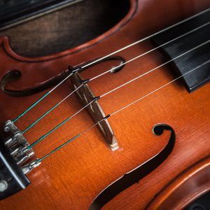 Orchestral Stringed Instruments
