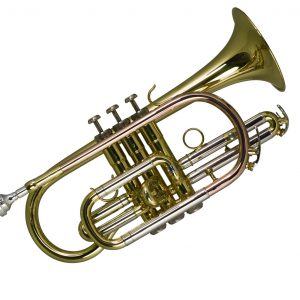 Artmeis cornet