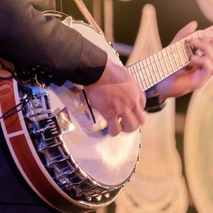 Other stringed Instruments